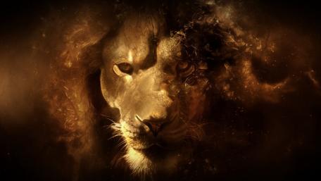 Lion face - Digital art wallpaper