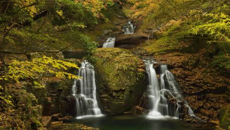 Forest waterfall wallpaper