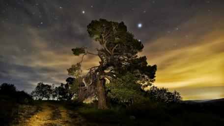 Starry night sky wallpaper