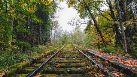 Abandoned railway wallpaper