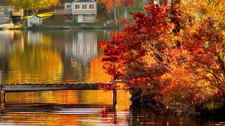 Captivating Autumn Reflections in Nature's Palette wallpaper