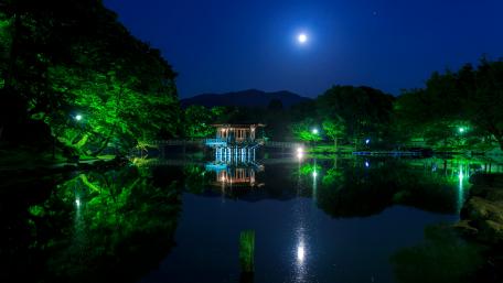 Nara Park at night (Japan) wallpaper