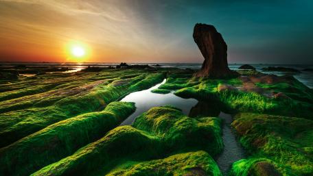 The mossy Co Thach beach (Vietnam) wallpaper