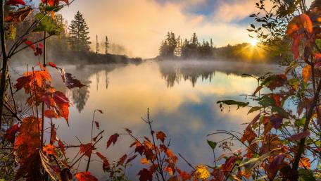 Fall leaves at the lakeside wallpaper
