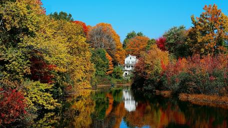 White house among the fall trees wallpaper
