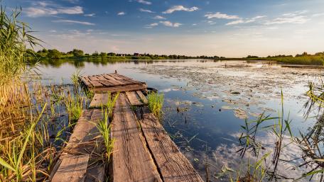 Pronya River (Pronsk, Russia) wallpaper