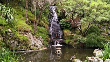 Wellington Botanic Gardens wallpaper