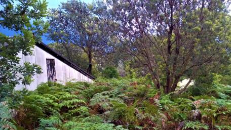 Quarantine Station wallpaper