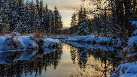 Winter river wallpaper