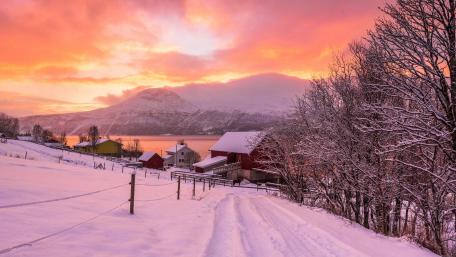 Colorful winter landscape wallpaper