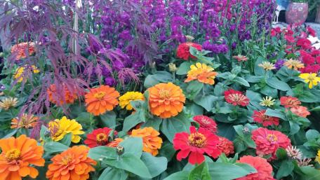 flower garden wallpaper