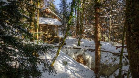Forest watermill wallpaper