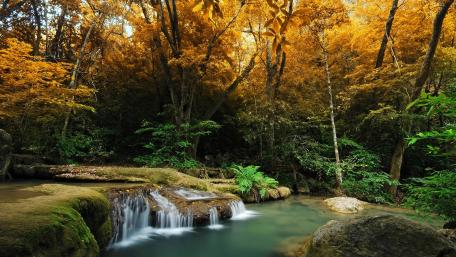 Fall forest creek waterfall wallpaper