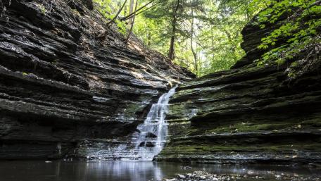Serene Waterfall Amidst Lush Greenery wallpaper
