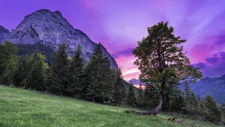 Majestic Morning in the Alps wallpaper