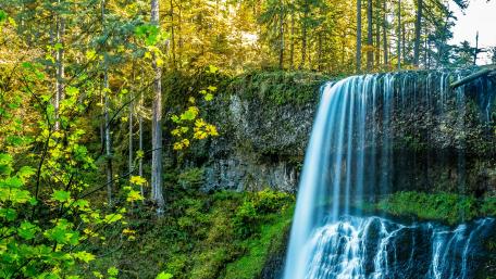 Majestic Waterfall Surrounded by Lush Forests wallpaper