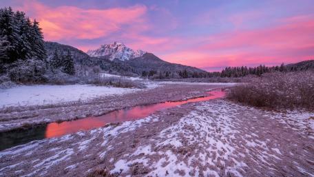 Winter Wonderland under a Pink Sky wallpaper