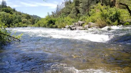 Serene River Flowing Through Lush Greenery wallpaper