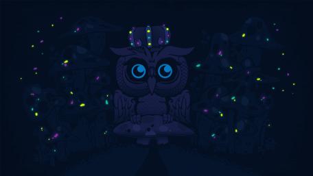Enchanted Owl in a Mystical Forest wallpaper