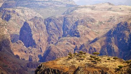 Socotra island wallpaper