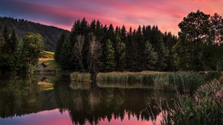 Serene Pink Sky Over Calm Lake wallpaper