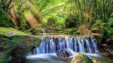 Serene Bamboo Waterfall Oasis wallpaper