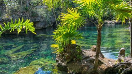 Riviera Maya wallpaper