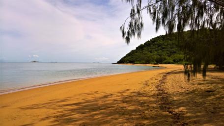Tropical Beach wallpaper