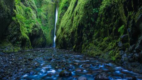 Lower Oneonta Falls wallpaper