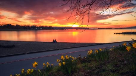 Salish Sea sunset wallpaper