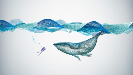 Turquoise Underwater Adventure wallpaper