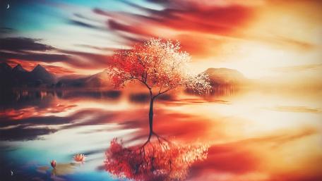 Ethereal Reflections of a Fantasy Tree wallpaper