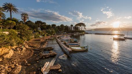 Peaceful Morning by the Marina wallpaper