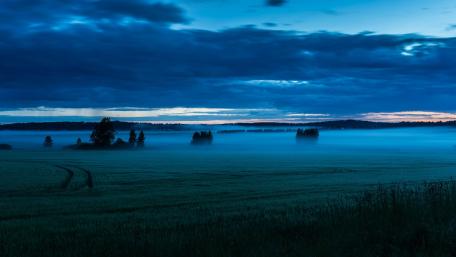Serene Dusk in a Foggy Meadow wallpaper