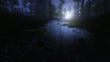 Night forest wallpaper