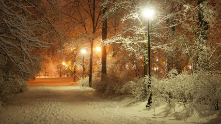 Snowy city park at night wallpaper