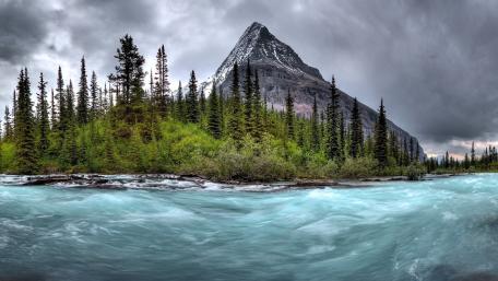 Wild river wallpaper