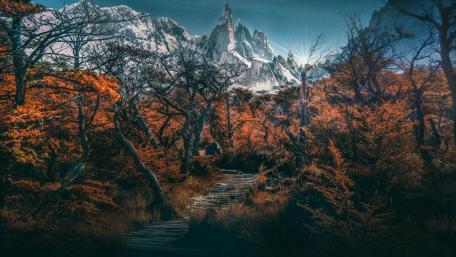 Enchanting Autumn Pathway Through Wilderness wallpaper