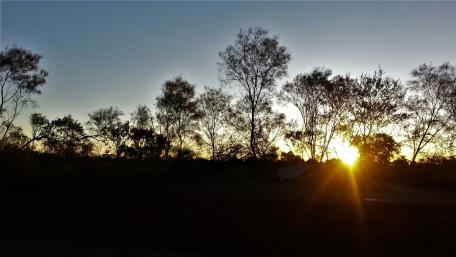 Sunset in a Aussie bush wallpaper