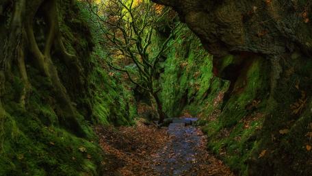 The Devil's Pulpit (Finnich Glen) wallpaper