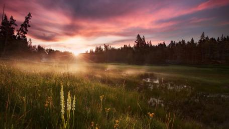 Yellowstone River wallpaper