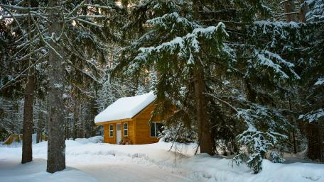 Winter forest cottage wallpaper