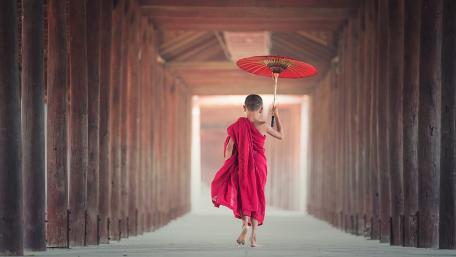 Young monk wallpaper