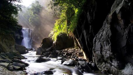 Serene Waterfall Amidst Lush Greenery wallpaper