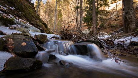 Serene Waterfall in a Tranquil Forest Scene wallpaper