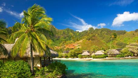 Tropical Paradise by the Caribbean Sea wallpaper