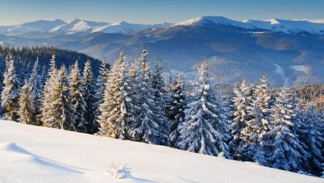 Winter Wonderland Amidst Majestic Peaks wallpaper