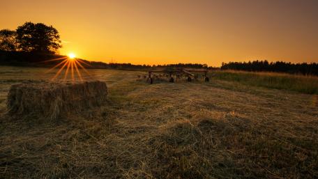 Serene Sunset Over Golden Fields wallpaper