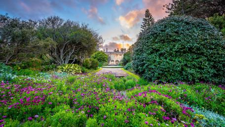Royal Botanic Garden, Sydney wallpaper