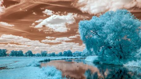 Frozen Serenity in Blue Hues wallpaper